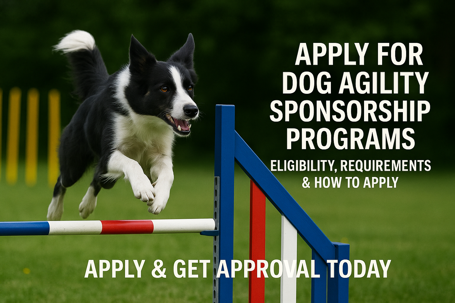 Dog Agility Sponsorship Programs